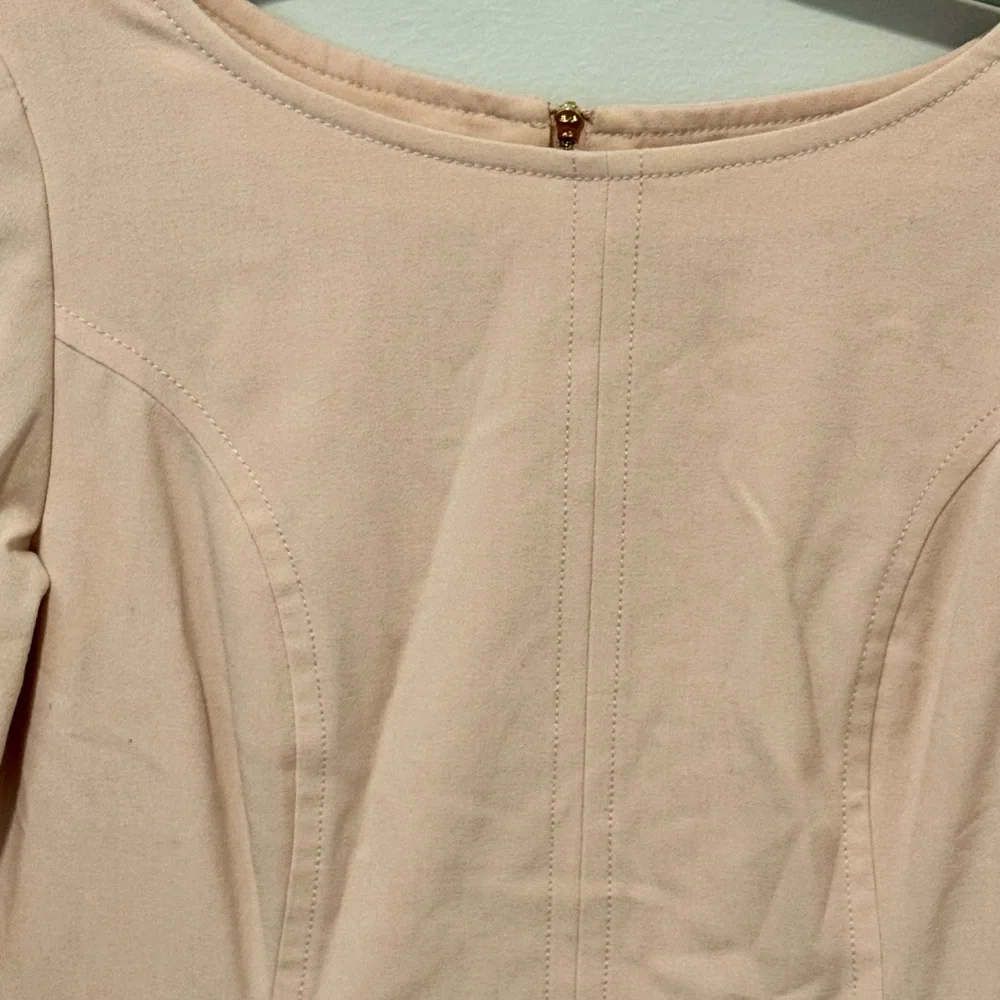 Tahari by ASL Blush Pink Sheath Dress w/Pocket, Size 6 Petite - Picture 5 of 13